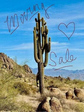 Moving Sale Closet Clean Out by 4/25/26 -- Make me an offer!